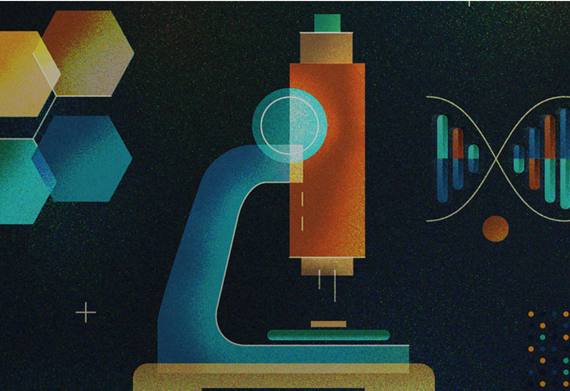 Inovação, mercado e a biologia